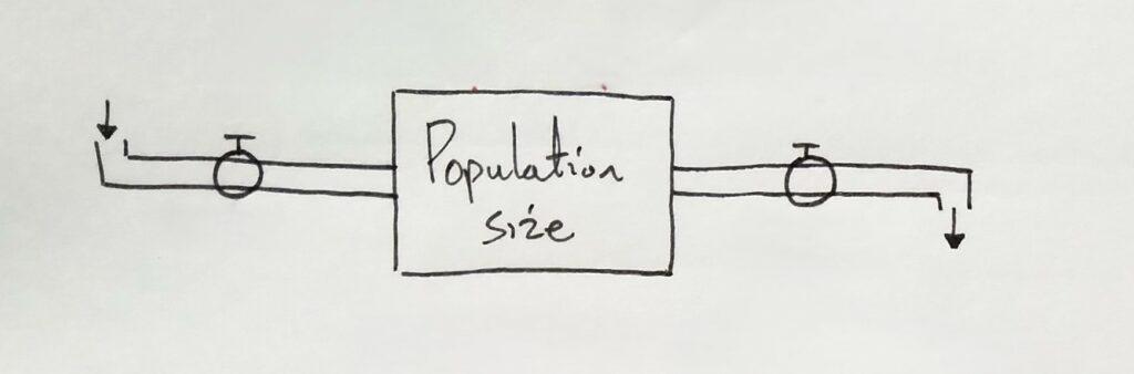 Population stock