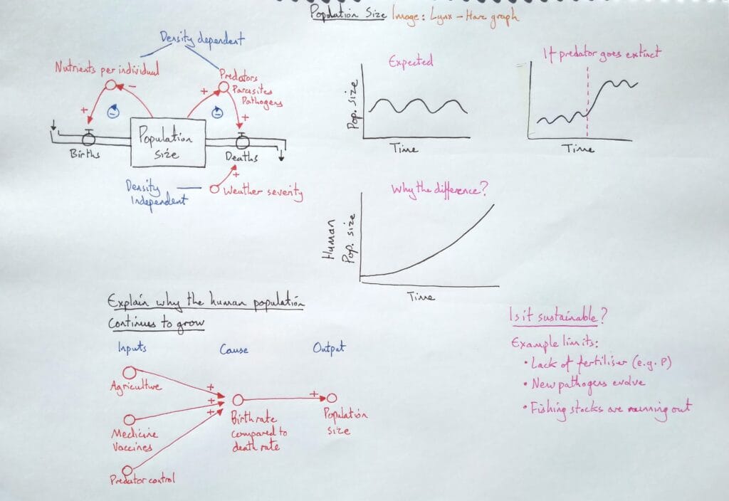 2 Explain bio ecology population size control KS4