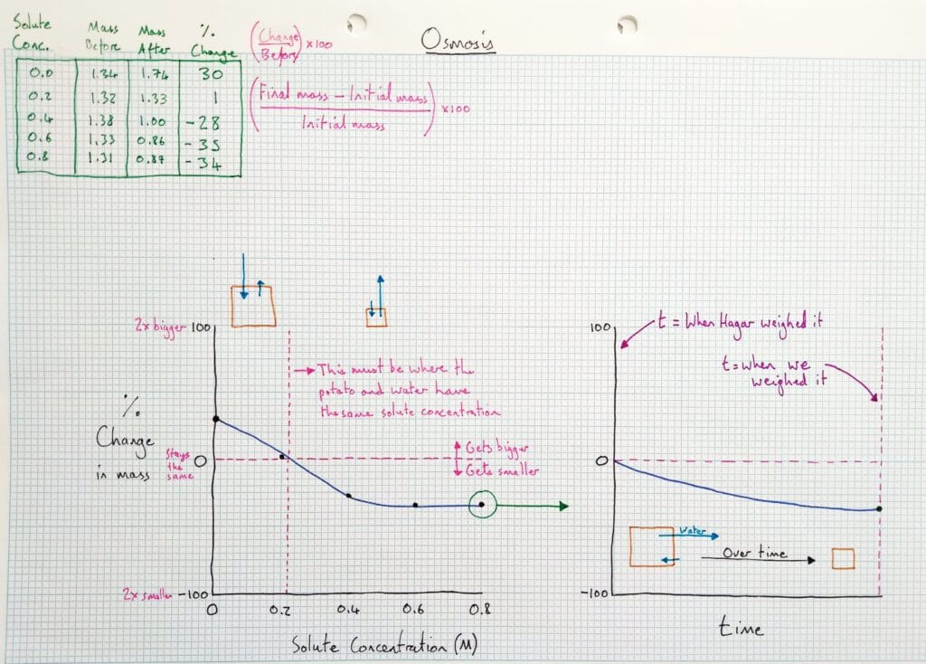 2 Explain cell osmosis potato graph % change KS4