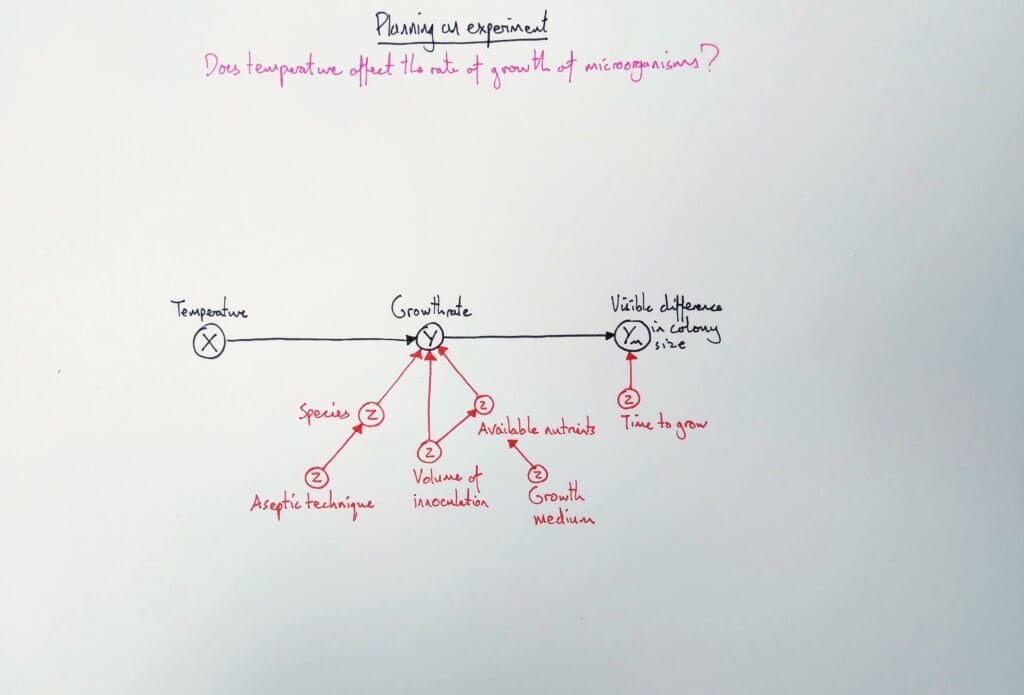 3 Explain microbiology design experiment growth temperature 2eso KS3