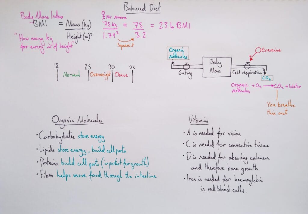 4 Explain organism balanced diet BMI KS4