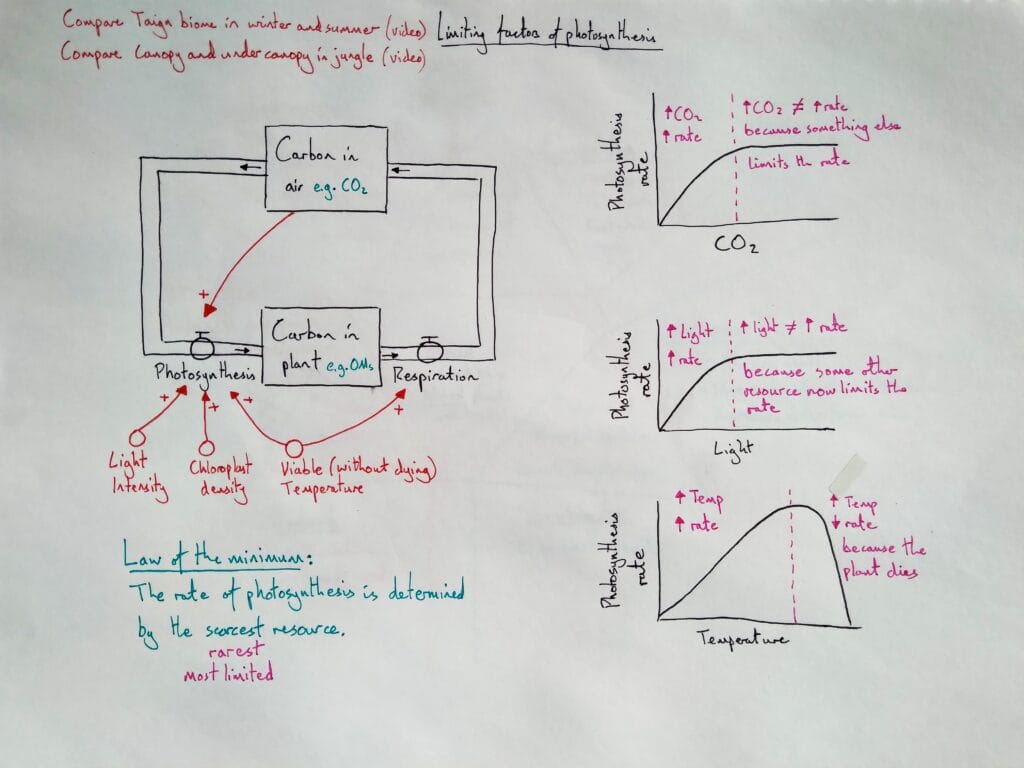 5 Explain bio plant ecology photosynthesis limiting factors 1eso KS3