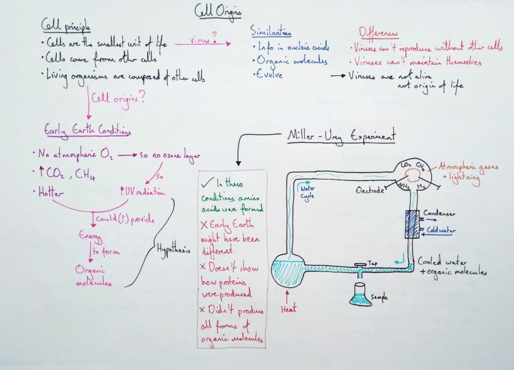 Explain cell evolution origins miller urey KS5