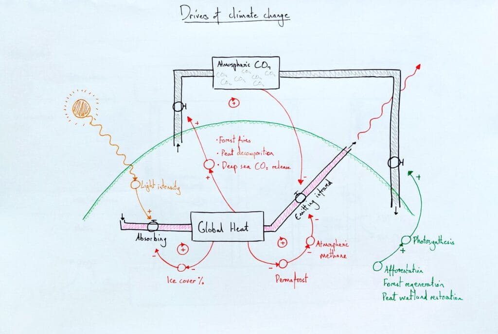 Explain ecology climate change drivers positive feedback KS5