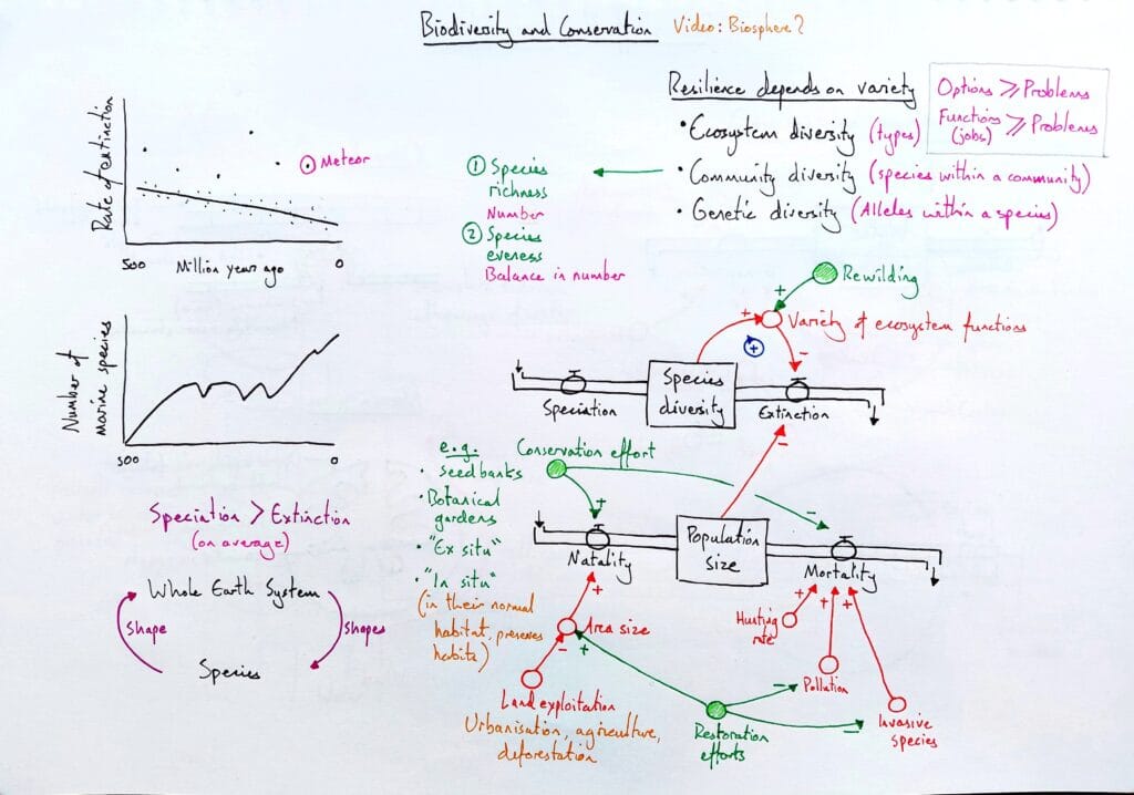 Explain ecology conservation extinction and rewilding three lessons KS5