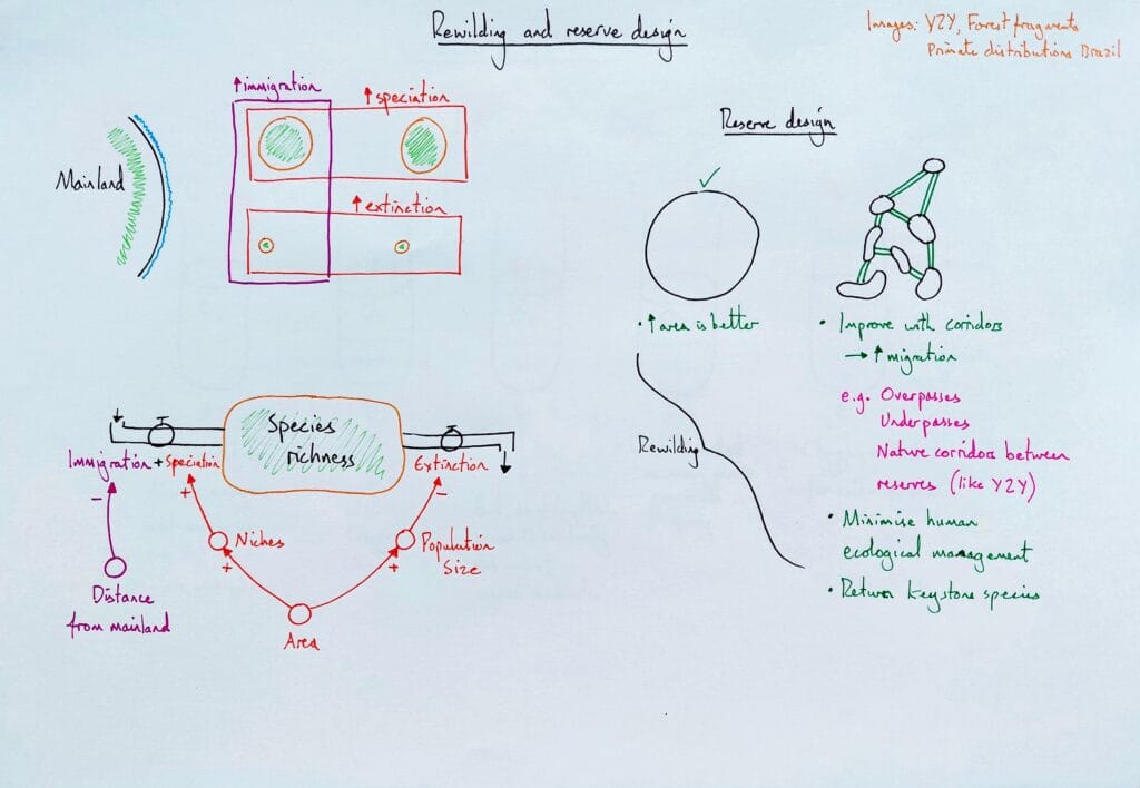 Explain ecology conservation island biogeography reserve design rewilding KS5
