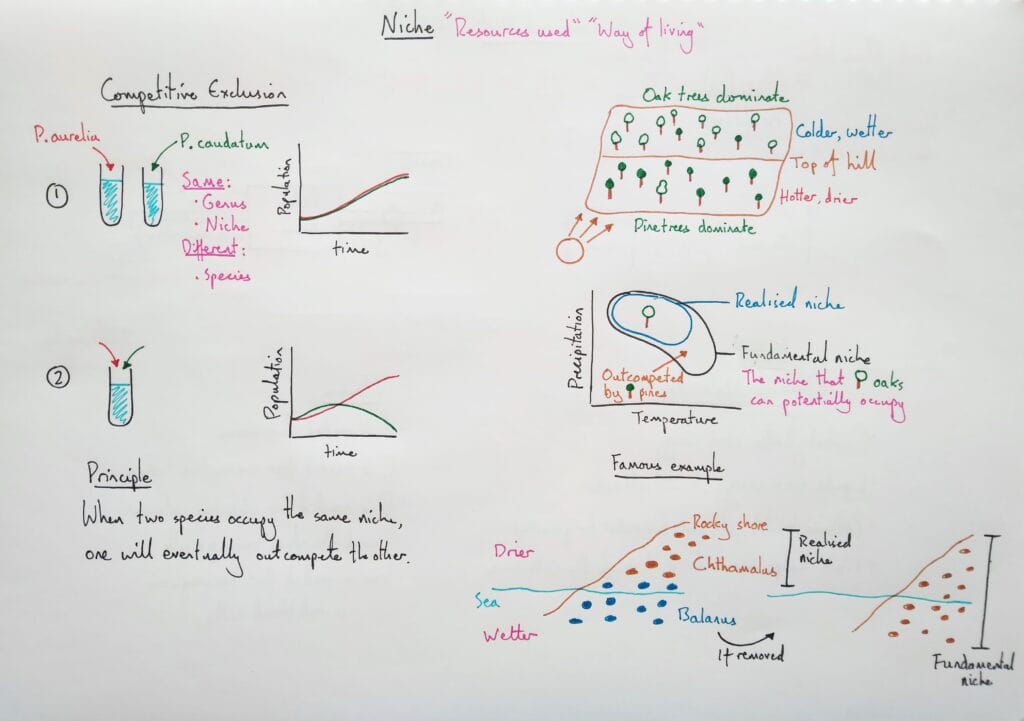 Explain ecology organismal niche concept competitive exclusion KS5