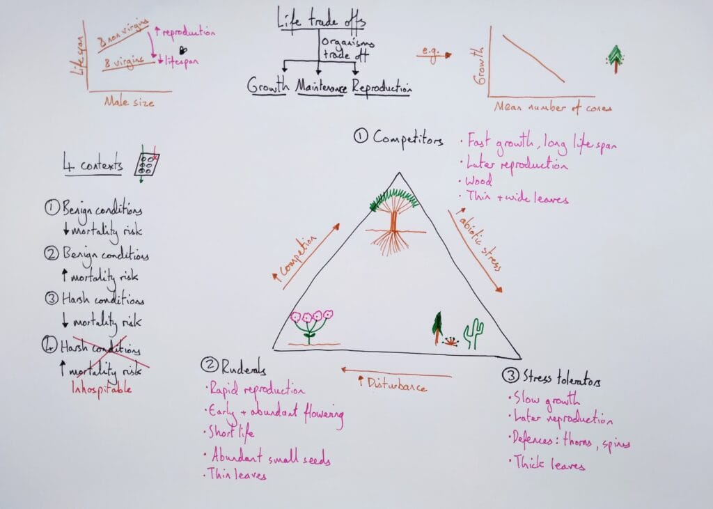 Explain evolution UAST theory CSR KS5