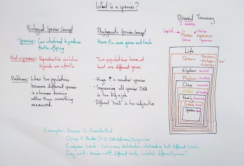 Explain evolution classification biological species concept KS5
