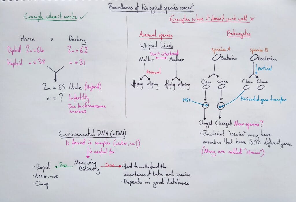 Explain evolution classification biological species concept problems eDNA KS5