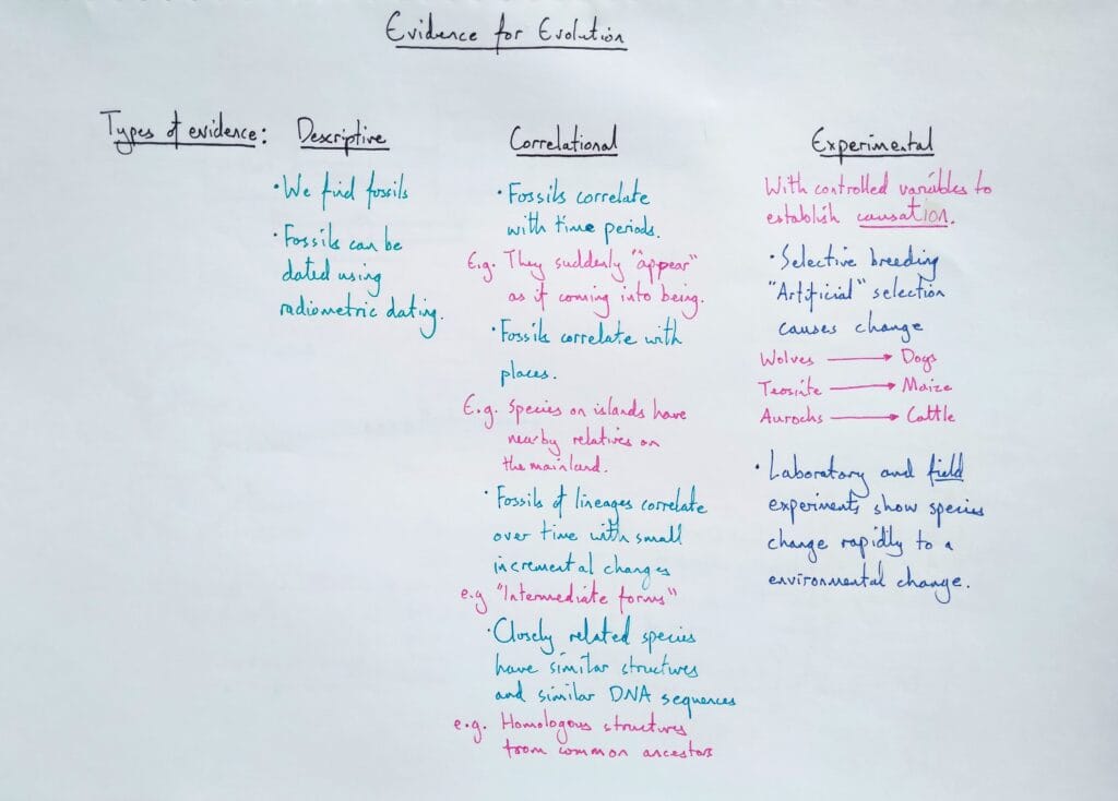 Explain evolution evidence KS5
