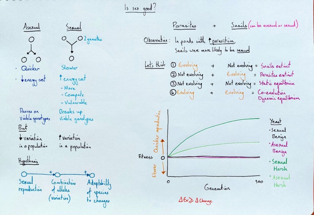 Explain evolution sexual vs asexual reproduction KS5