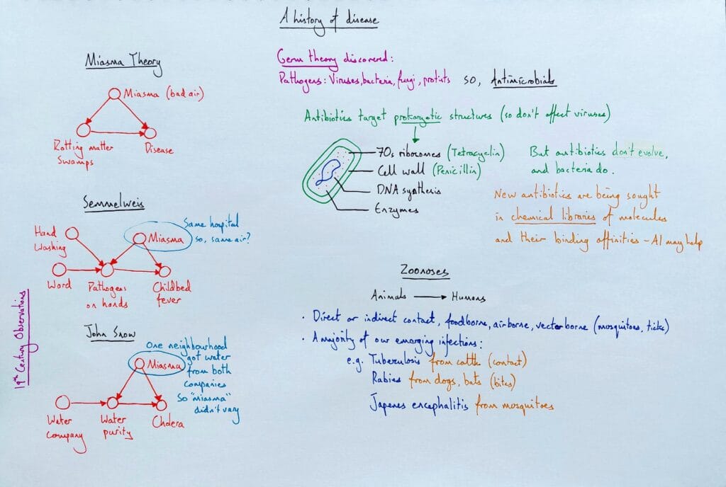 Explain immune system disease history miasma pathogens antibiotics zoonoses KS5