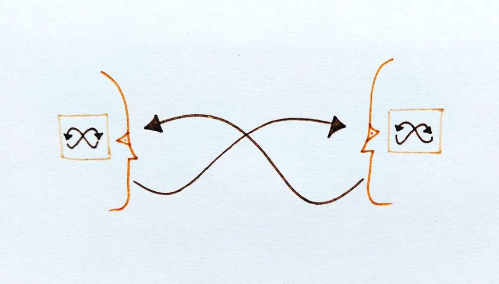 Wrong end of constructivist stick enactivism